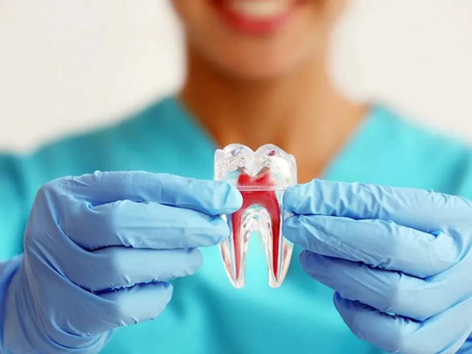 endodontia